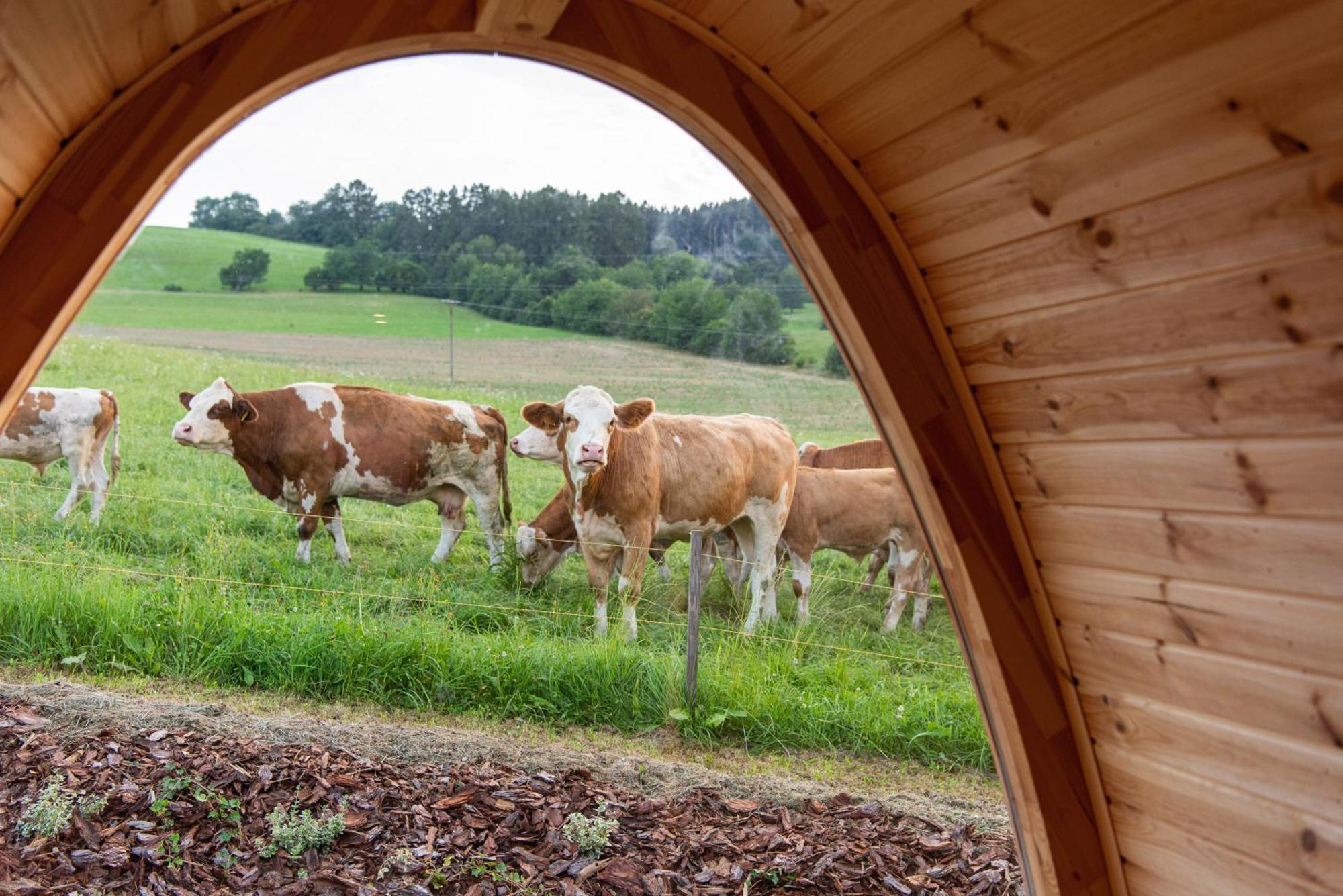 La Boheme Lodges And Glamping Vrhavec Exterior foto